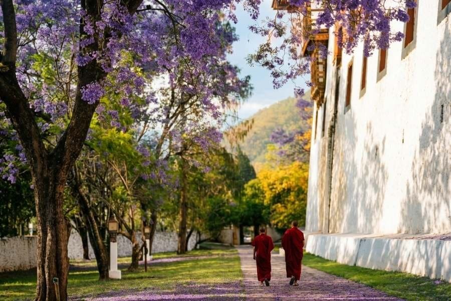 Bhutan 2 (2)