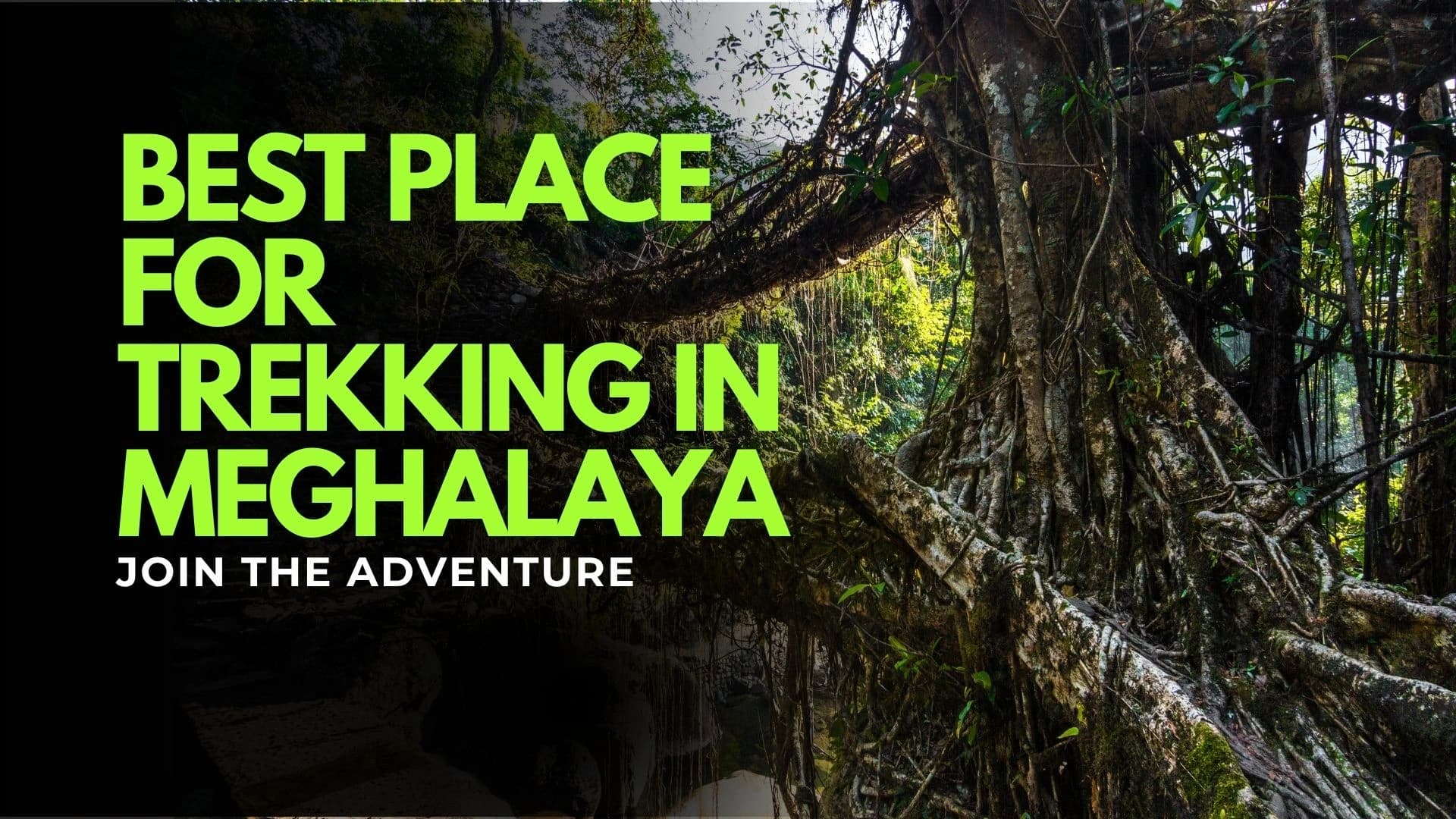 Best Place For Trekking In Meghalaya