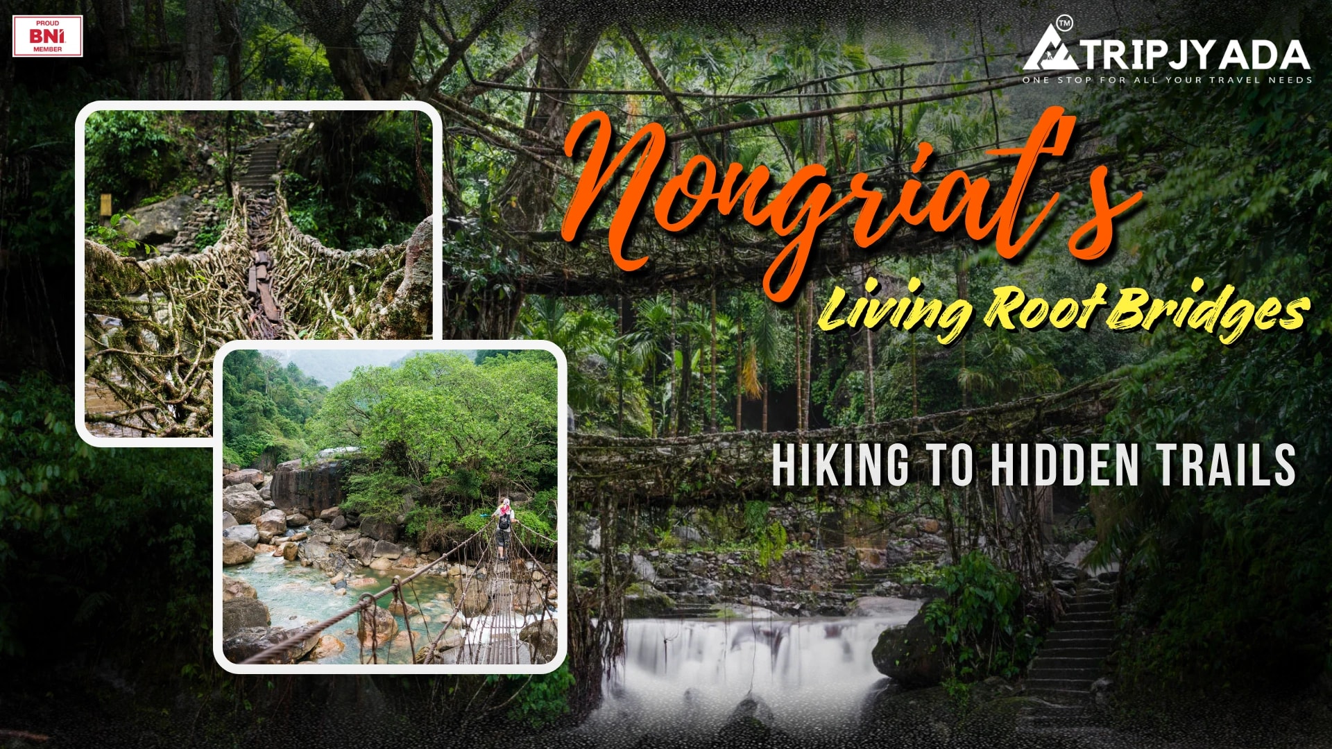 Nongriat’s Root Bridges