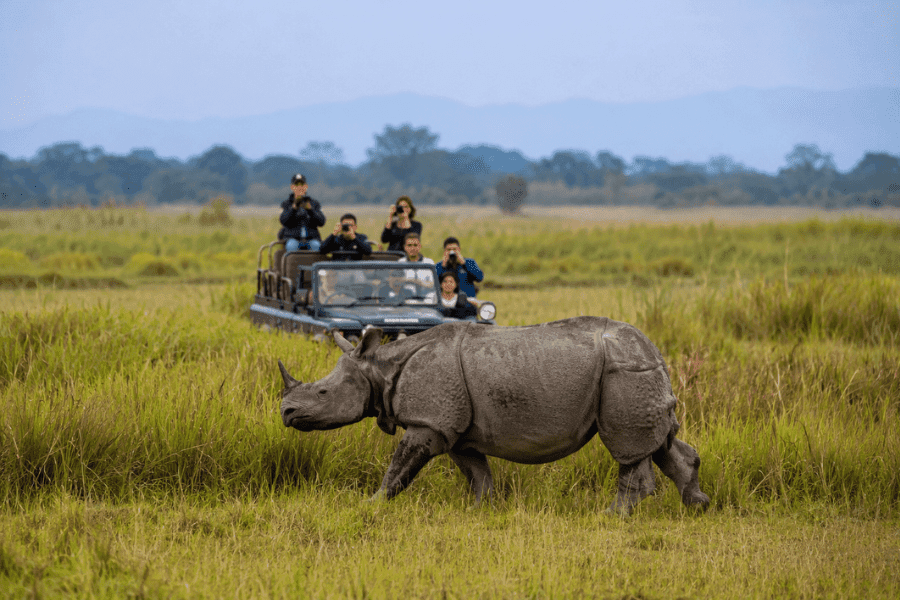 Kaziranga Jeep Safari