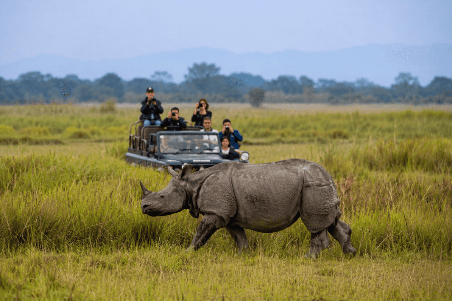 Kaziranga Jeep Safari