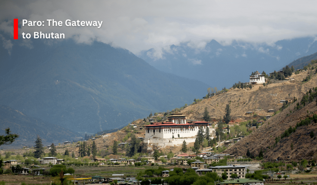 Discover the Magic of Bhutan