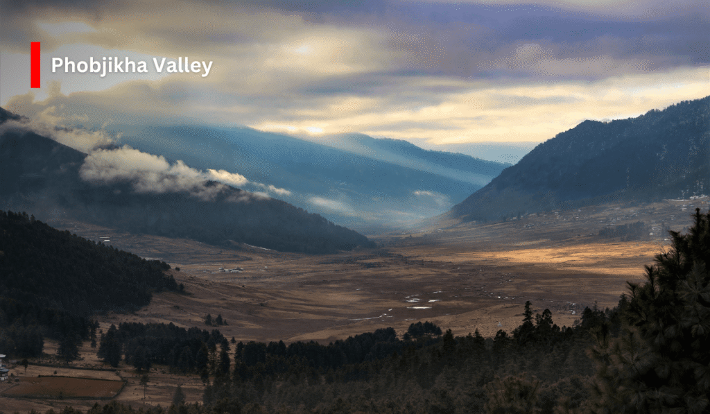 Discover the Magic of Bhutan
