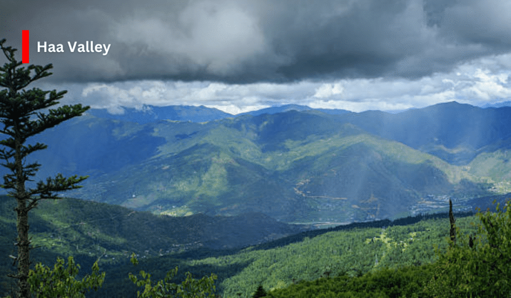 Discover the Magic of Bhutan