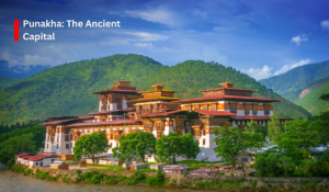 Discover the Magic of Bhutan2