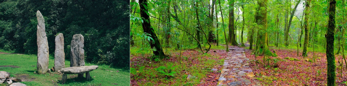 Mawphlang Sacred Grove Loop