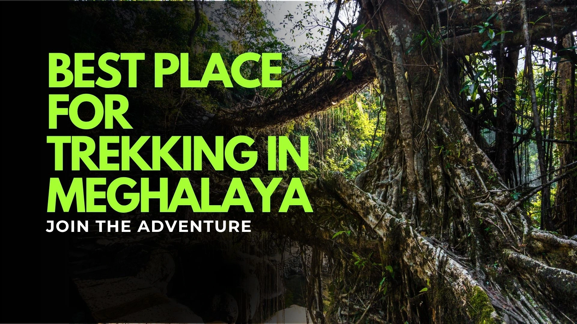 Best Place For Trekking In Meghalaya