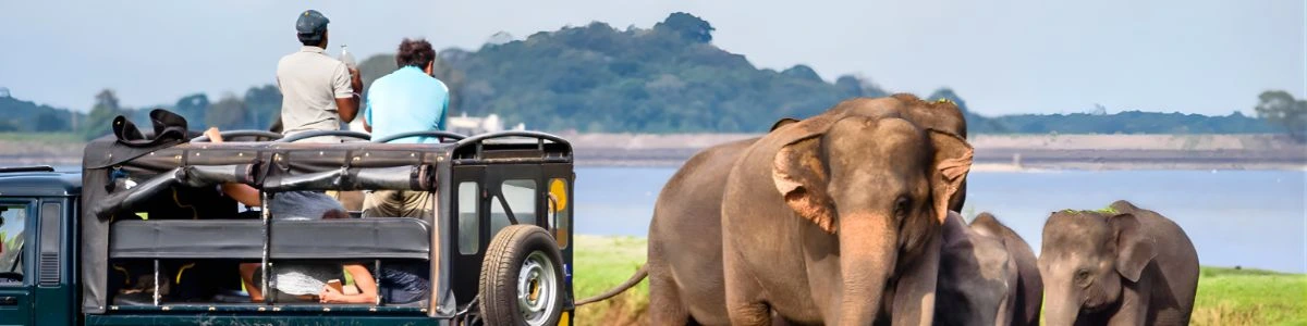 jaldapara national park