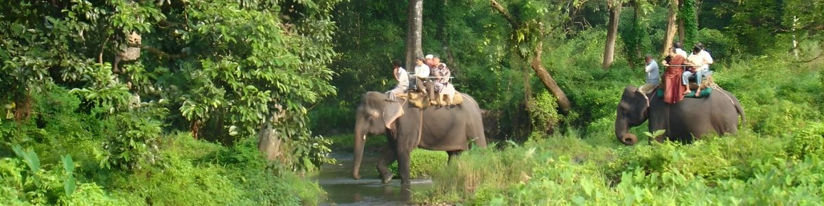Gorumara National Park