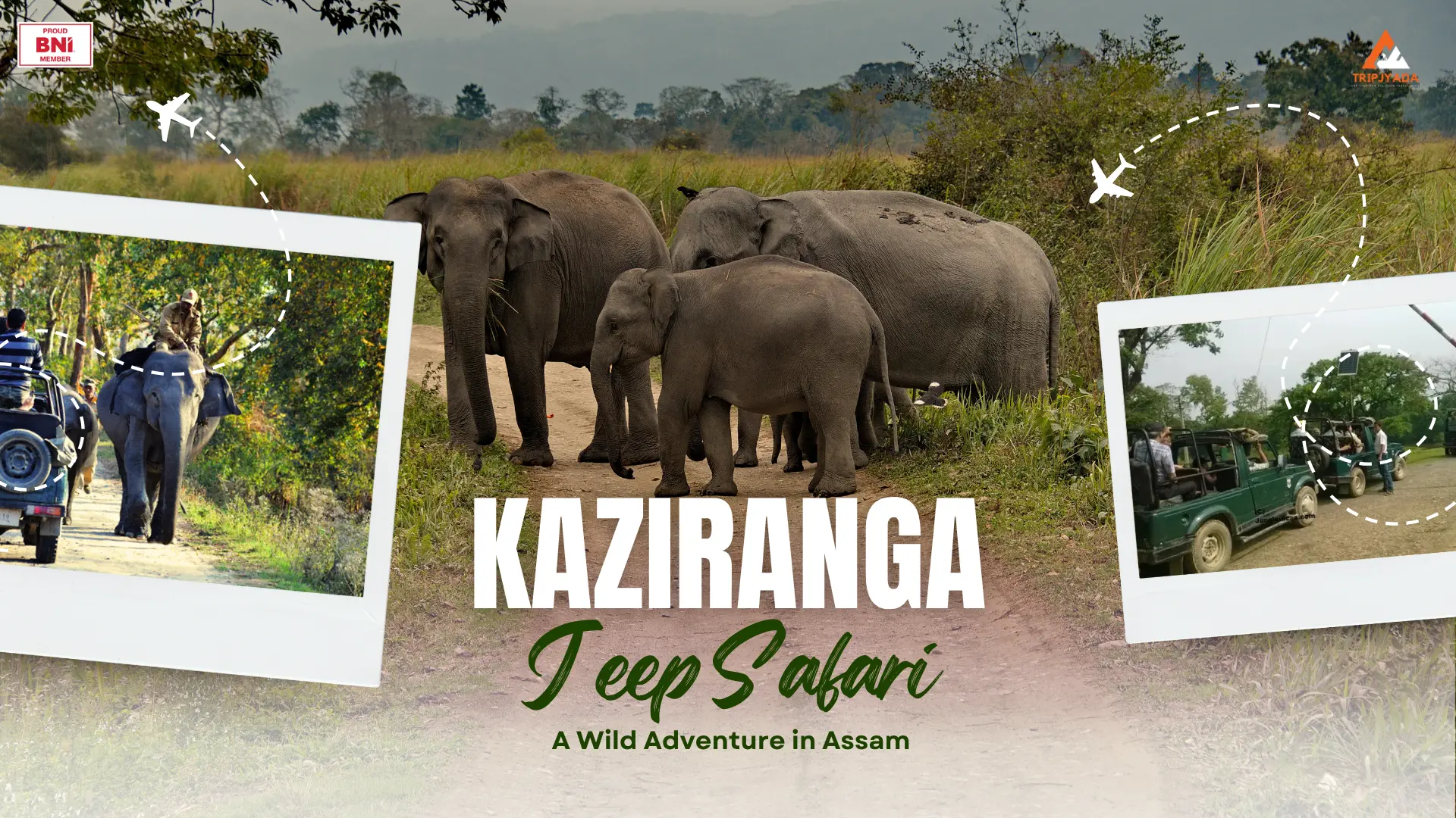 kaziranga jeep safari
