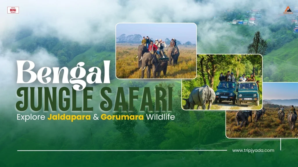 Bengal Jungle Safari