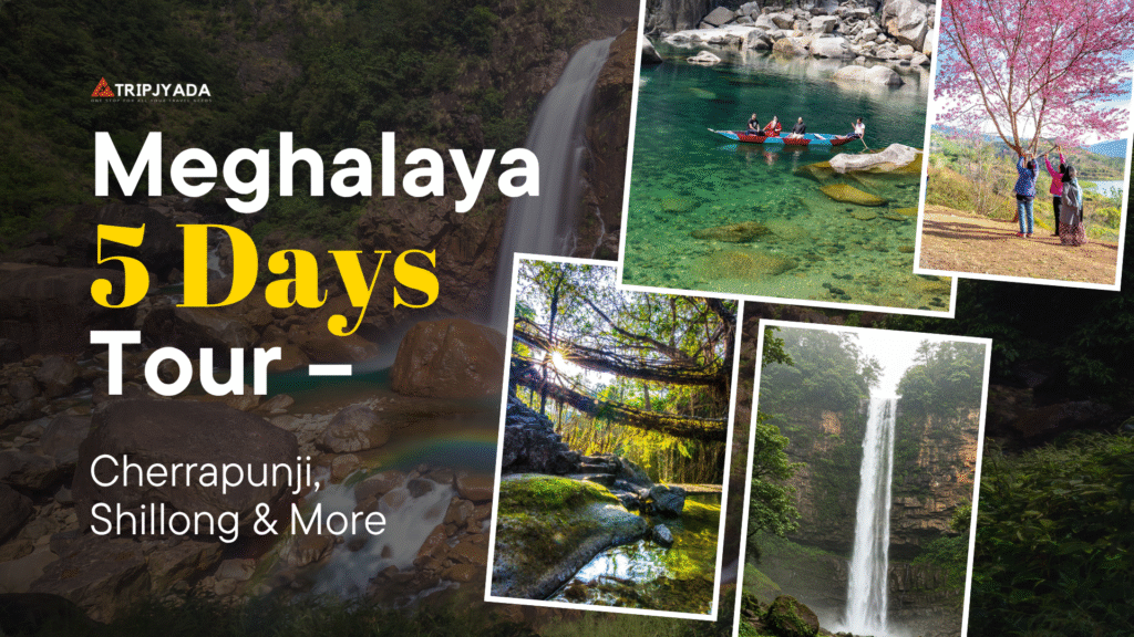 Meghalaya 5 Days Tour