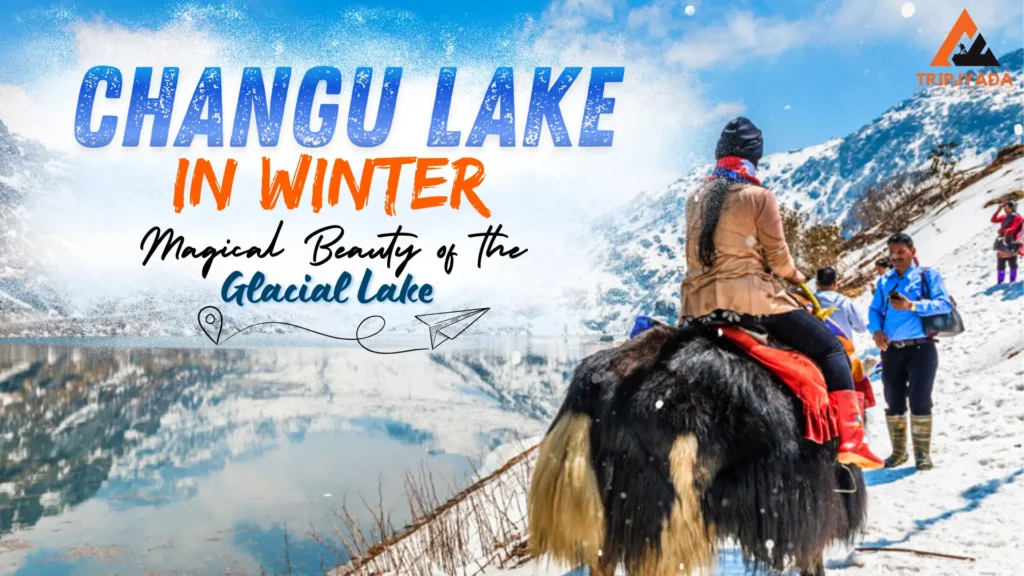 Changu lake in winter