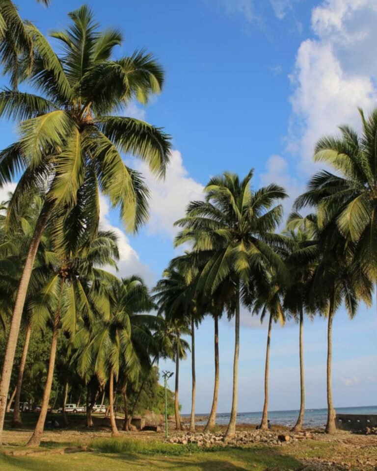 Andaman and Nicobar (6)