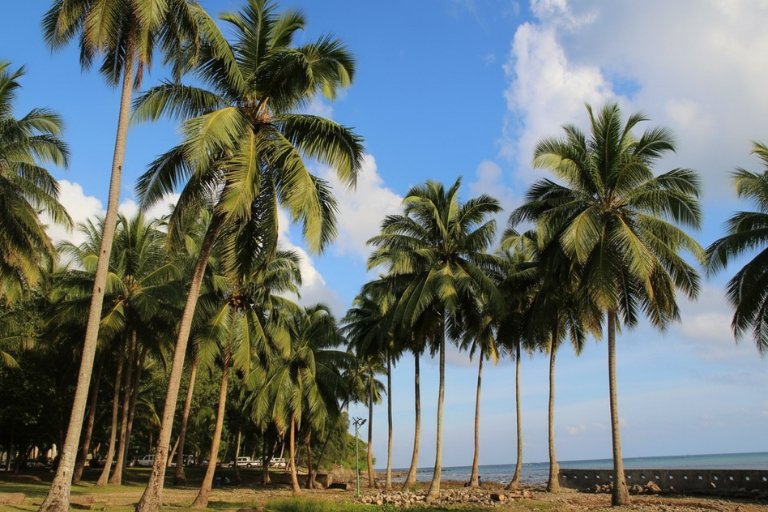 Andaman and Nicobar (6)