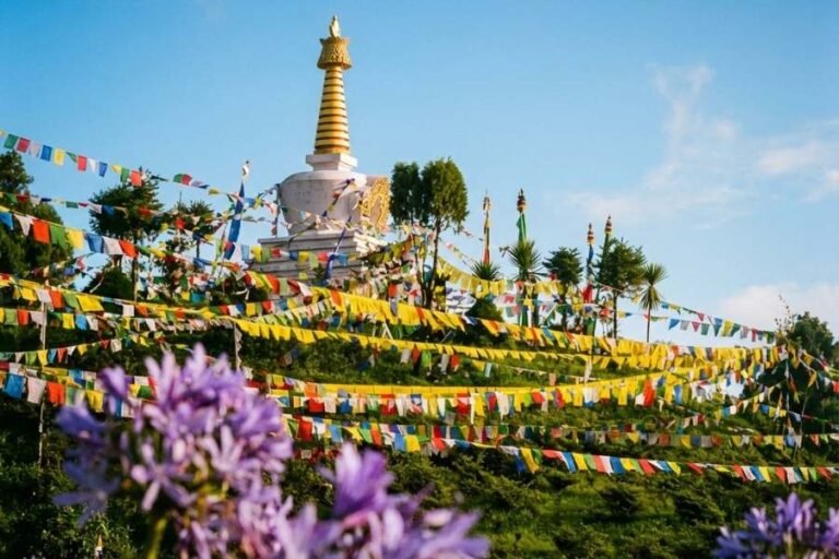 Japanese Peace Pagoda 1