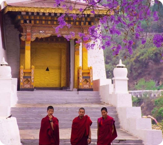 Bhutan Adventure