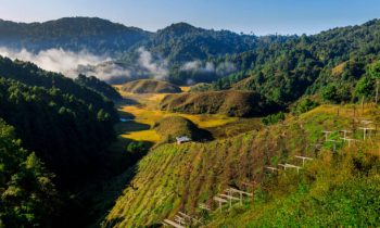 DURA IS ONE OF THE REMOTE LOCATION OF ZIRO,THIS PALCE IS WELL KNOWN FOR ITS KIWI GARDEN AND BEATIFULL ISLAND .